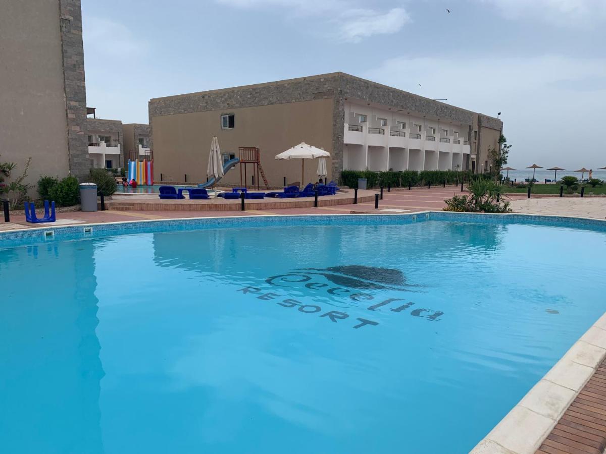 Chaletu Furnished For Rent In Cecilia Hurghada